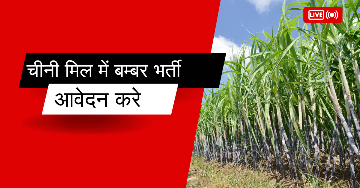 Lakhimpur Kheri Sugar Mill Vacancy