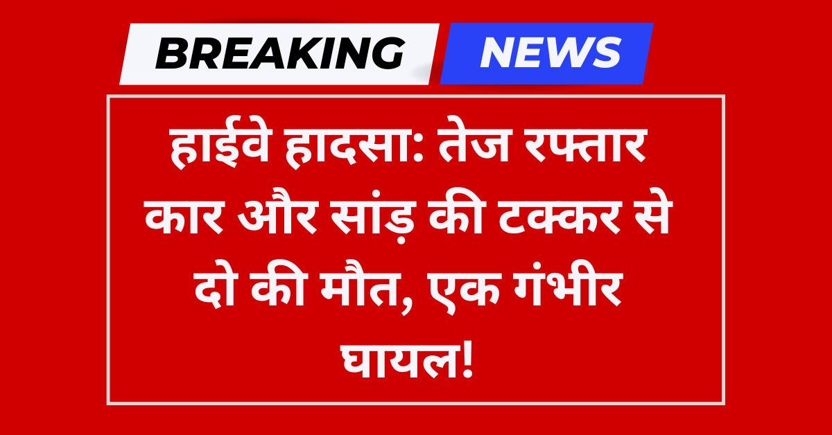 तेज रफ्तार कार और सांड़ की टक्कर