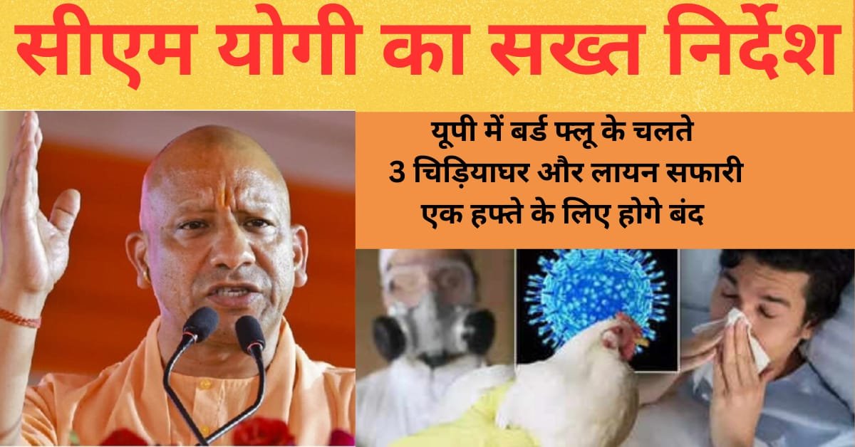 Trending New: सीएम योगी का सख्त निर्देश,यूपी में बर्ड फ्लू के चलते 3 चिड़ियाघर और लायन सफारी एक हफ्ते के लिए होगे बंद