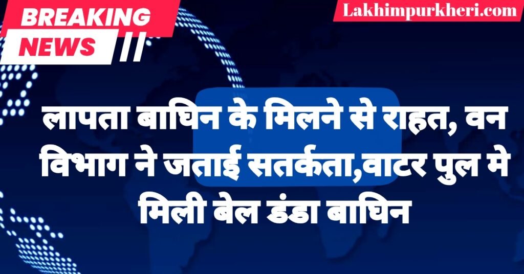 Lakhimpur Kheri News: लापता बाघिन के मिलने से राहत, वन विभाग ने जताई सतर्कता,वाटर पुल मे मिली बेल डंडा बाघिन