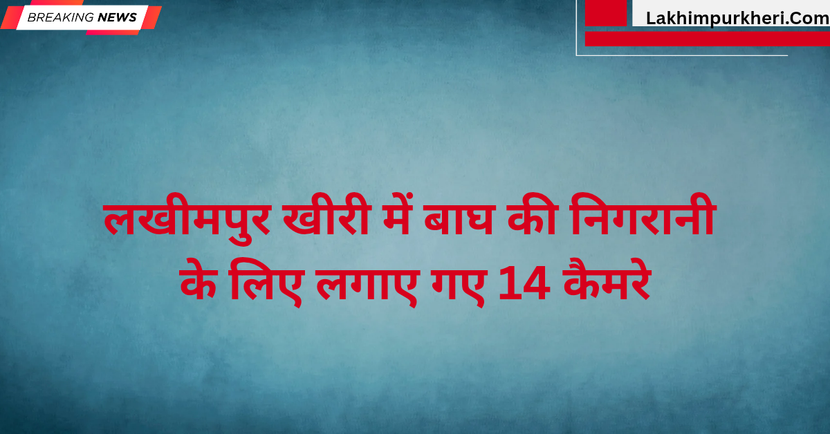 Lakhimpur Kheri News: लखीमपुर खीरी में बाघ की निगरानी के लिए लगाए गए 14 कैमरे