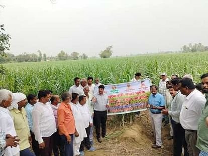 Lakhimpur Kheri News: लखीमपुर खीरी में गन्ना सर्वे अभियान रफ्तार पर, 25 जून तक पूरा कराने के दिए निर्देश