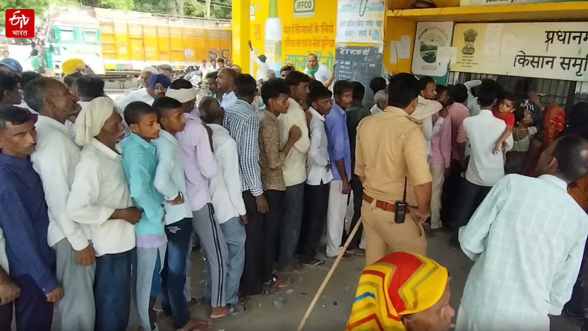 Lakhimpur Kheri News: लखीमपुर में खाद की किल्लत बरकरार, धक्के खा रहे किसान