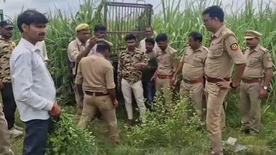 Lakhimpur Kheri News: खेत में चारा काट रहे पिता-पुत्र पर बाघ ने किया हमला, दोनों गंभीर रूप से घायल