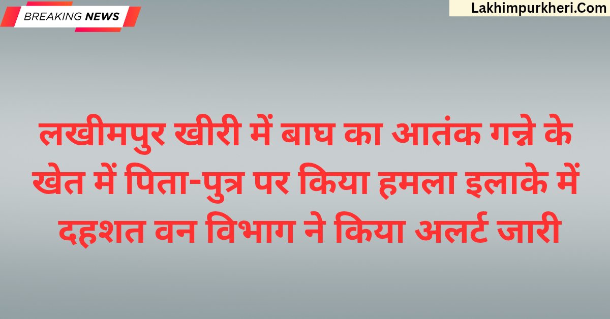 लखीमपुर खीरी में बाघ का आतंक: गन्ने के खेत में पिता-पुत्र पर किया हमला, इलाके में दहशत, वन विभाग ने किया अलर्ट जारी