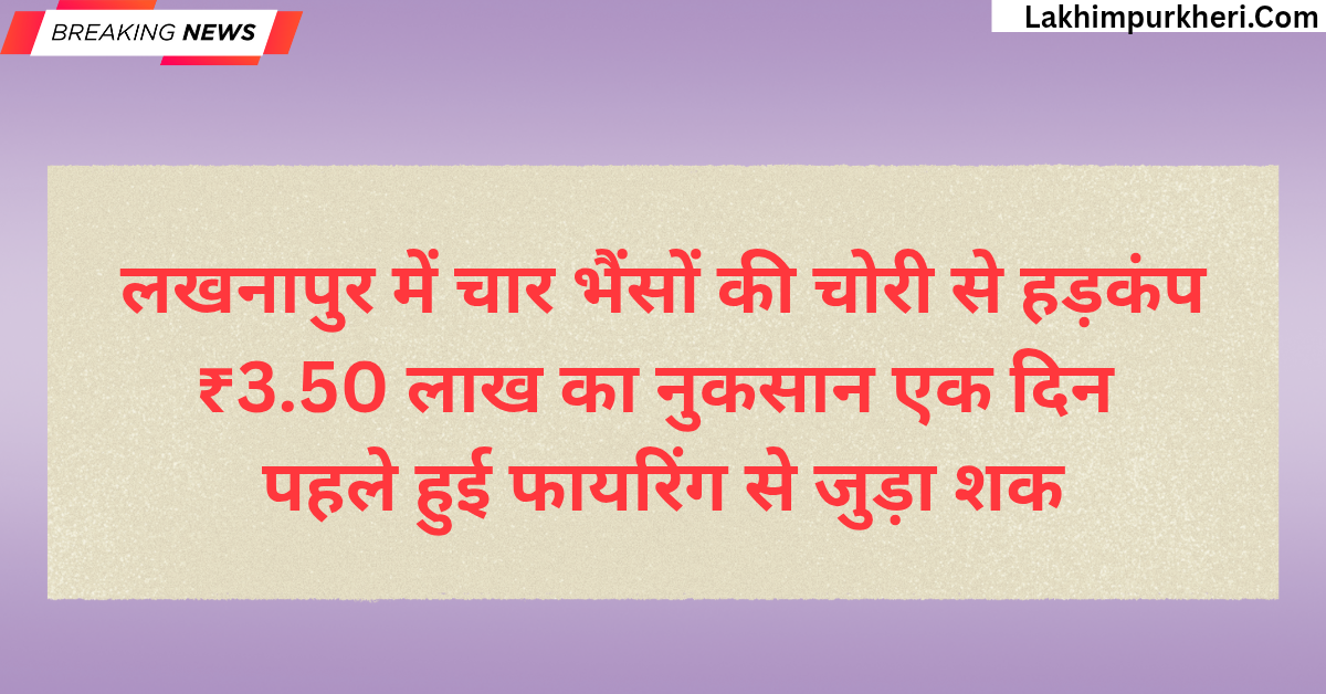 लखनापुर में चार भैंसों की चोरी से हड़कंप, ₹3.50 लाख का नुकसान; एक दिन पहले हुई फायरिंग से जुड़ा शक