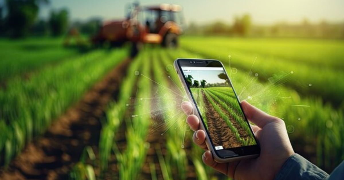 Lakhimpur Kheri News: खेतों की सुरक्षा अब मोबाइल से,ऐप बताएगा बीमारी, किसान करेगा इलाज डाउनलोड करे एआई ऐप,यहा देखे पूरी जानकारी