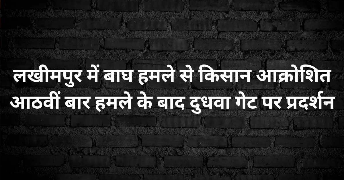 लखीमपुर में बाघ हमले से किसान आक्रोशित: आठवीं बार हमले के बाद दुधवा गेट पर प्रदर्शन