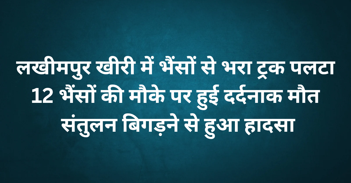 लखीमपुर खीरी में भैंसों से भरा ट्रक पलटा, 12 भैंसों की मौके पर हुई दर्दनाक मौत संतुलन बिगड़ने से हुआ हादसा