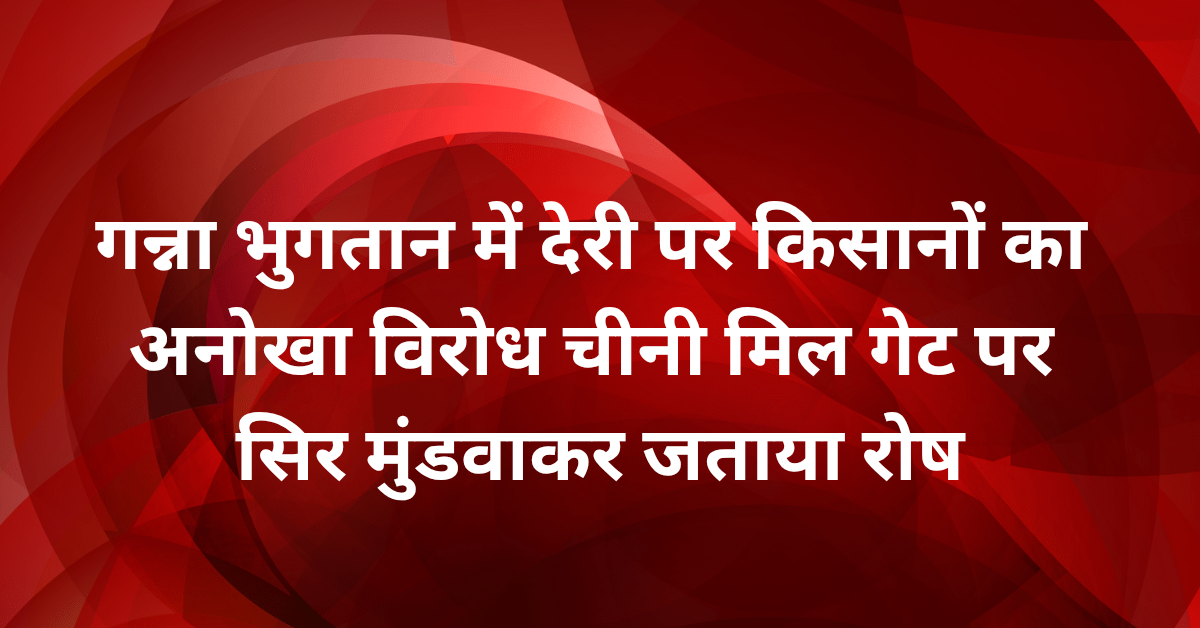Lakhimpur Kheri News: गन्ना भुगतान में देरी पर किसानों का अनोखा विरोध, चीनी मिल गेट पर सिर मुंडवाकर जताया रोष
