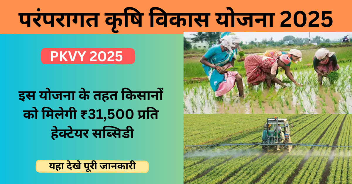 PKVY Yojana 2025 : परंपरागत कृषि विकास योजना के तहत किसानों को मिलेगी ₹31,500 प्रति हेक्टेयर सब्सिडी, ऐसे उठाएं लाभ