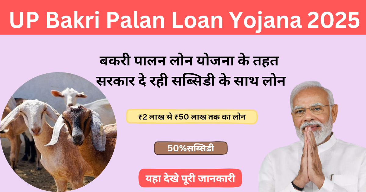 UP Bakri Palan Loan Yojana 2025: उत्तर प्रदेश में बकरी पालन शुरू करने के लिए मिलेगा लोन व सब्सिडी,यहा देखे पूरी जानकारी