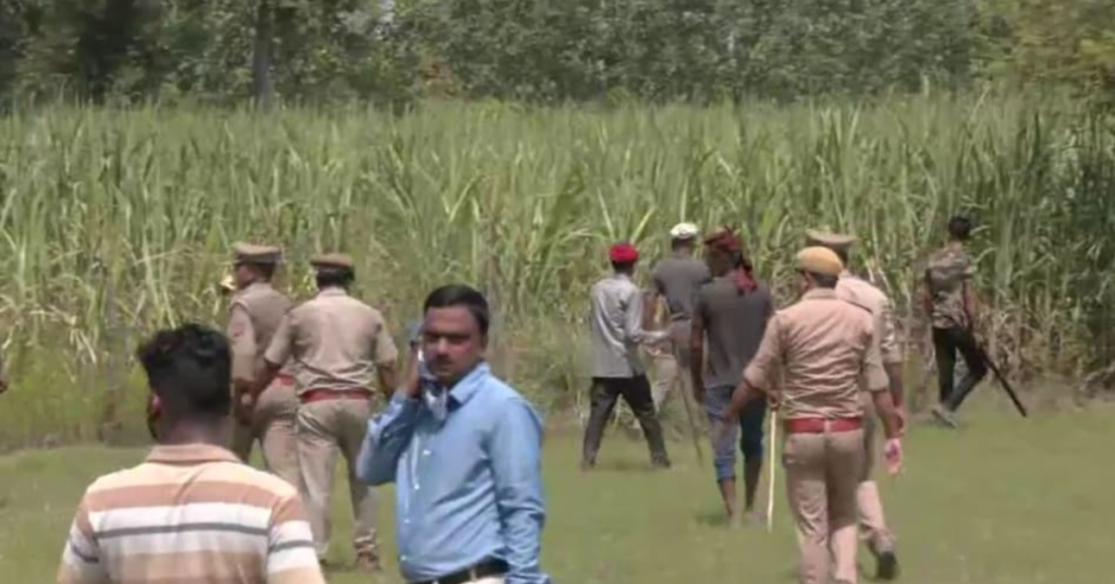 लखीमपुर खीरी में बाघिन का कहर: महिला को दबोच ले गई, 12 घंटे बाद खेत में मिला अधखाया शव