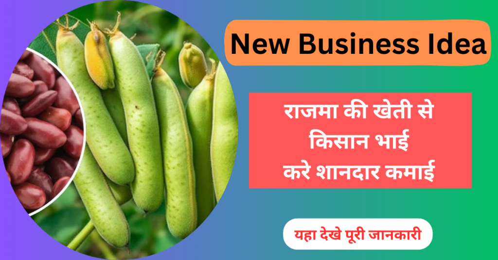 New Business Idea: किसान भाई सब छोड़ो शुरू करो राजमा की खेती, लाखों की कमाई पक्की, यहा देखे पूरी जानकारी